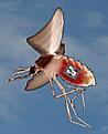 Click image for larger version

Name:	Mosquito_sm.jpg
Views:	81
Size:	6.1 KB
ID:	1880604