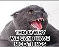 Click image for larger version

Name:	can'thave.JPG
Views:	111
Size:	27.4 KB
ID:	1882712