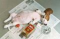 Click image for larger version

Name:	drunkbabies.jpg
Views:	49
Size:	53.7 KB
ID:	1957993
