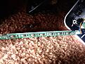Click image for larger version

Name:	VA320E button board.jpg
Views:	60
Size:	2.24 MB
ID:	1961667