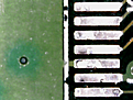 Click image for larger version

Name:	1307367264672.bmp
Views:	184
Size:	900.1 KB
ID:	1963928