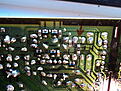 Click image for larger version

Name:	DSC02358.JPG
Views:	56
Size:	2.19 MB
ID:	1974605