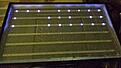 Click image for larger version

Name:	LEDS.jpg
Views:	98
Size:	1.47 MB
ID:	1975062