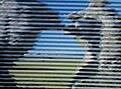 Click image for larger version

Name:	interference.jpg
Views:	49
Size:	7.9 KB
ID:	1985810