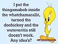 Click image for larger version

Name:	tweety.jpg
Views:	57
Size:	75.6 KB
ID:	1989439
