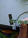 Click image for larger version

Name:	IMG_20170513_132348.jpg
Views:	79
Size:	368.7 KB
ID:	2001931