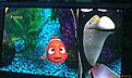 Click image for larger version

Name:	IMAG0484.jpg
Views:	64
Size:	745.5 KB
ID:	2005292