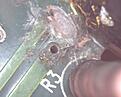 Click image for larger version

Name:	Old board2 zoom.jpg
Views:	122
Size:	228.8 KB
ID:	2027235
