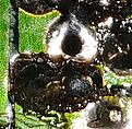 Click image for larger version

Name:	before_cropped.jpg
Views:	91
Size:	490.2 KB
ID:	2046585