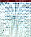 Click image for larger version

Name:	IMG_20200718_193521_exported_266_1595097400452.jpg
Views:	54
Size:	1.21 MB
ID:	2050619