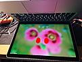 Click image for larger version

Name:	IMG_20230120_034059.jpg
Views:	425
Size:	394.7 KB
ID:	2108238
