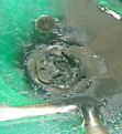 Click image for larger version

Name:	Pro Euro 155 Burnout.png
Views:	82
Size:	428.4 KB
ID:	2124947