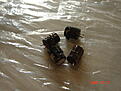 Click image for larger version

Name:	DSC01227.JPG
Views:	117
Size:	152.7 KB
ID:	2136930