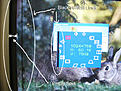 Click image for larger version

Name:	vertical lines.jpg
Views:	90
Size:	336.4 KB
ID:	2139143