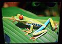 Click image for larger version

Name:	really.jpg
Views:	99
Size:	328.3 KB
ID:	2146663