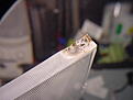 Click image for larger version

Name:	DSC00208.JPG
Views:	67
Size:	711.0 KB
ID:	2153055