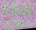 Click image for larger version

Name:	self check.jpg
Views:	95
Size:	923.6 KB
ID:	2155062