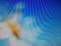Click image for larger version

Name:	20130405_191704.jpg
Views:	84
Size:	1.40 MB
ID:	2160916