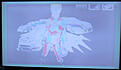 Click image for larger version

Name:	42LG5000.jpg
Views:	252
Size:	88.7 KB
ID:	2162668