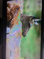 Click image for larger version

Name:	IMG_00000711.jpg
Views:	81
Size:	152.1 KB
ID:	2165230