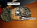 Click image for larger version

Name:	Motor2.jpg
Views:	63
Size:	512.3 KB
ID:	2192229
