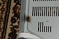 Click image for larger version

Name:	IMG_9670.jpg
Views:	118
Size:	393.9 KB
ID:	2194132