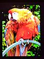 Click image for larger version

Name:	image RGB laptop.jpg
Views:	53
Size:	345.2 KB
ID:	2196333