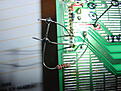 Click image for larger version

Name:	DSC04021.JPG
Views:	136
Size:	561.1 KB
ID:	2196665