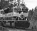 Click image for larger version

Name:	Ink-Jet Photo B-W.jpg
Views:	160
Size:	720.5 KB
ID:	2212297
