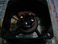 Click image for larger version

Name:	thermaltake 60x25mm fan 1.jpg
Views:	81
Size:	1.27 MB
ID:	2226391