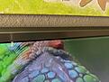 Click image for larger version

Name:	IMG_0203.jpg
Views:	78
Size:	551.2 KB
ID:	2252612