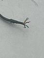 Click image for larger version

Name:	IMG_7358.jpg
Views:	0
Size:	931.9 KB
ID:	3729826