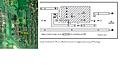 Click image for larger version

Name:	possible_Layout.jpg
Views:	16
Size:	160.4 KB
ID:	3735025