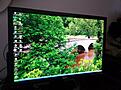 Dell 24 inch 2405FPW. Blown MOSFET and zener diode. Replaced with an aftermarket DC-DC converter.