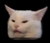 survivalbloke's Avatar